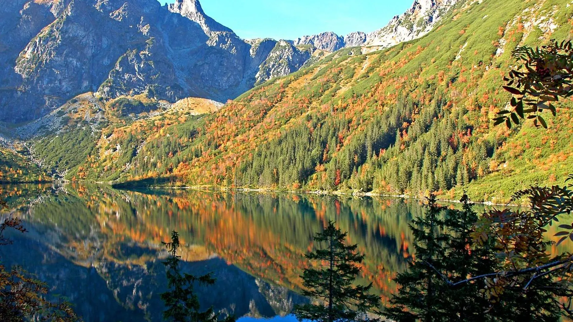 Apartament Krupowki 36/8 Zakopane Apartment